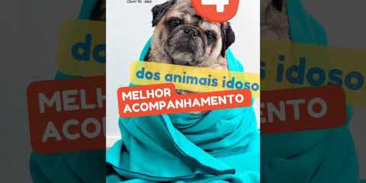 Seu Amigo de Quatro Patas Merece: Laboratórios Veterinários de Excelência em São Paulo!