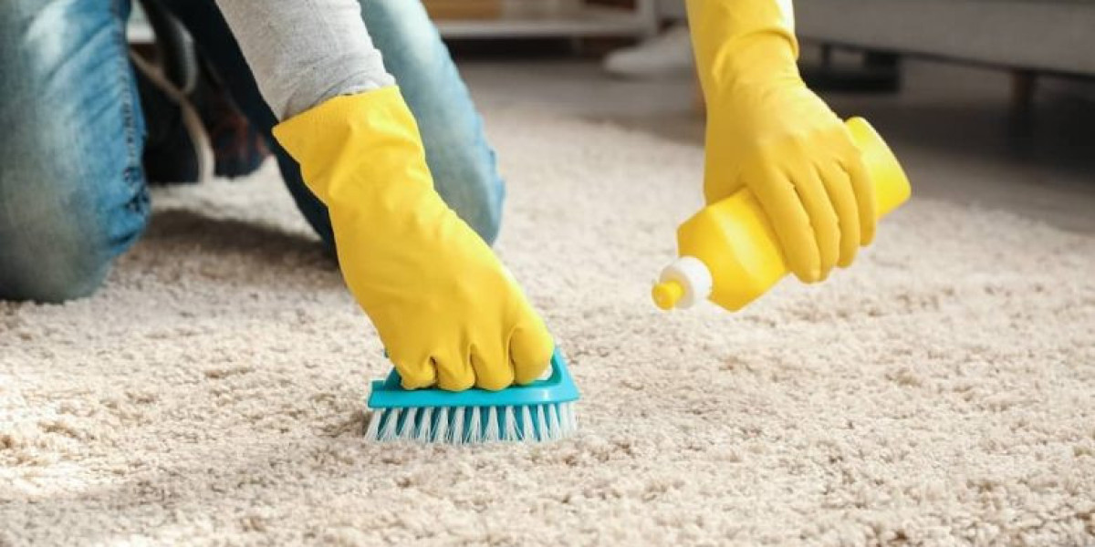 Why Every Home Should Embrace Regular Professional Carpet Cleaning