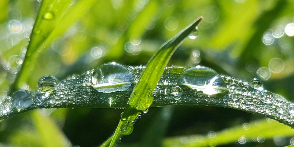 Understanding the Dew Point Calculator | A Comprehensive Guide