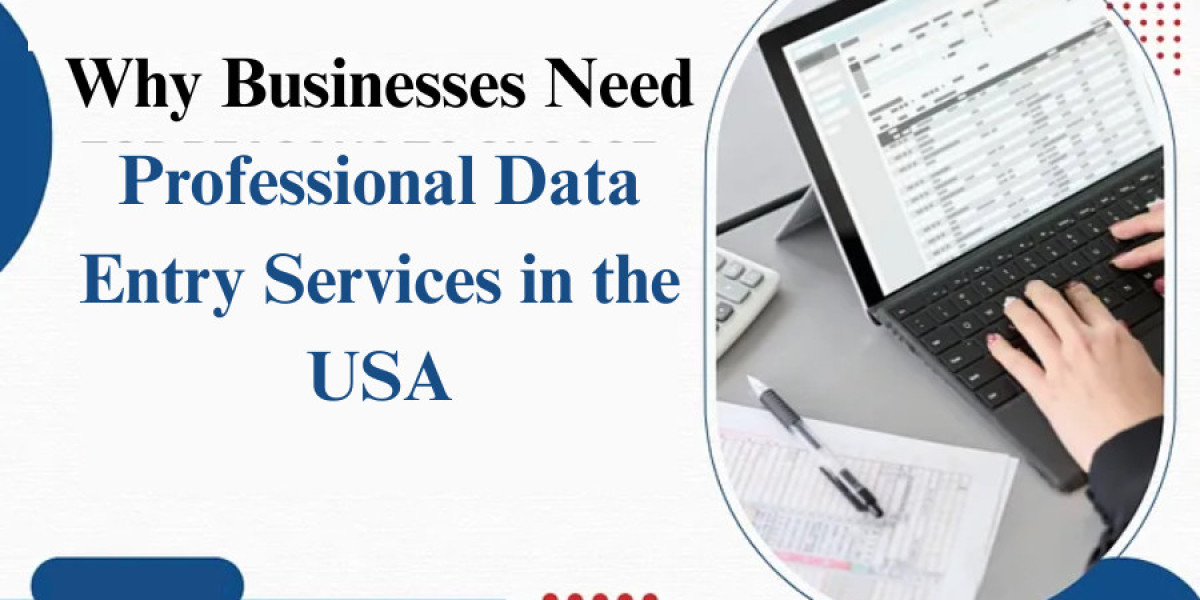 Why Businesses Need Professional Data Entry Services in the USA